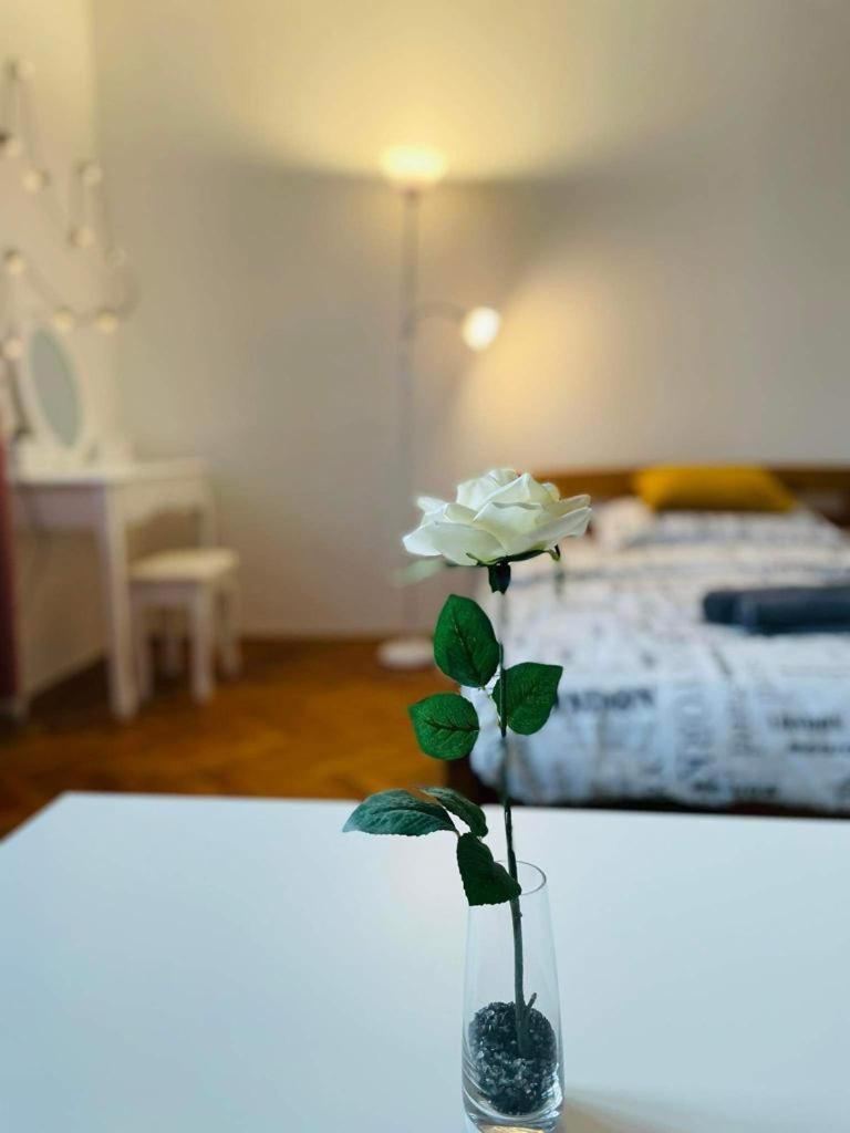 Lovely 2Bdr In Center, Wifi & Self-Check In Bratislava Exterior photo